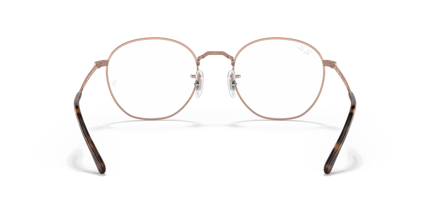 [Clear Lenses, Polished Copper Frame]