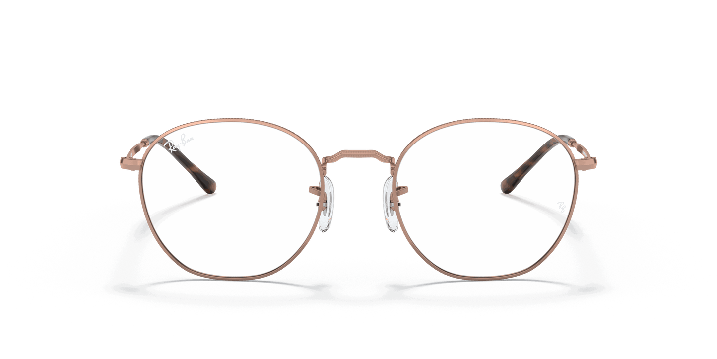 [Clear Lenses, Polished Copper Frame]