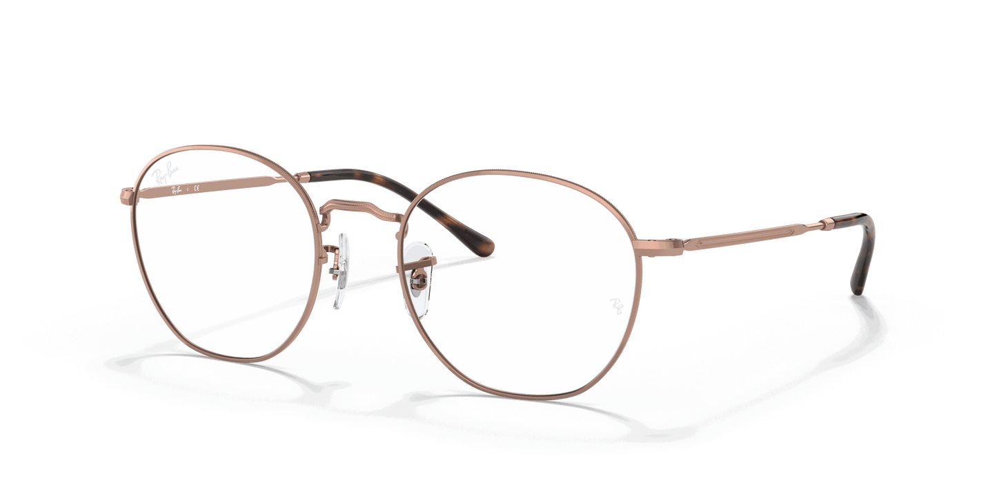 [Clear Lenses, Polished Copper Frame]