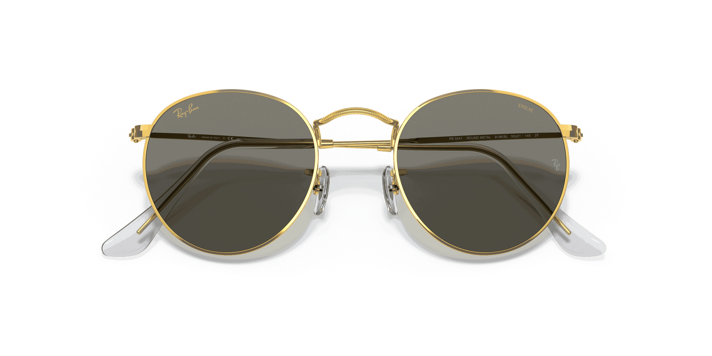 [Clear Lenses, Polished Gold Frame]