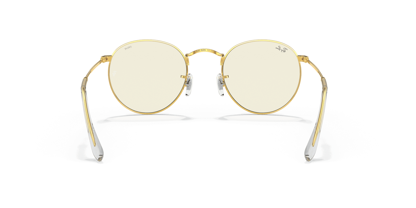 [Clear Lenses, Polished Gold Frame]