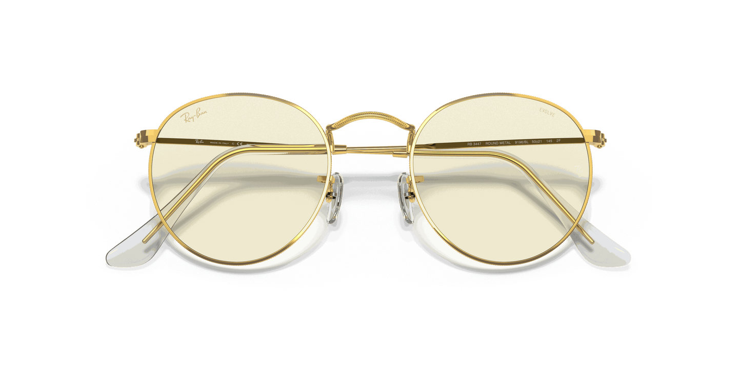 [Clear Lenses, Polished Gold Frame]