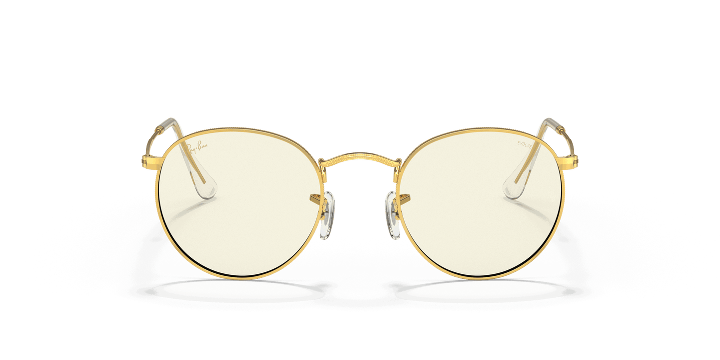 [Clear Lenses, Polished Gold Frame]