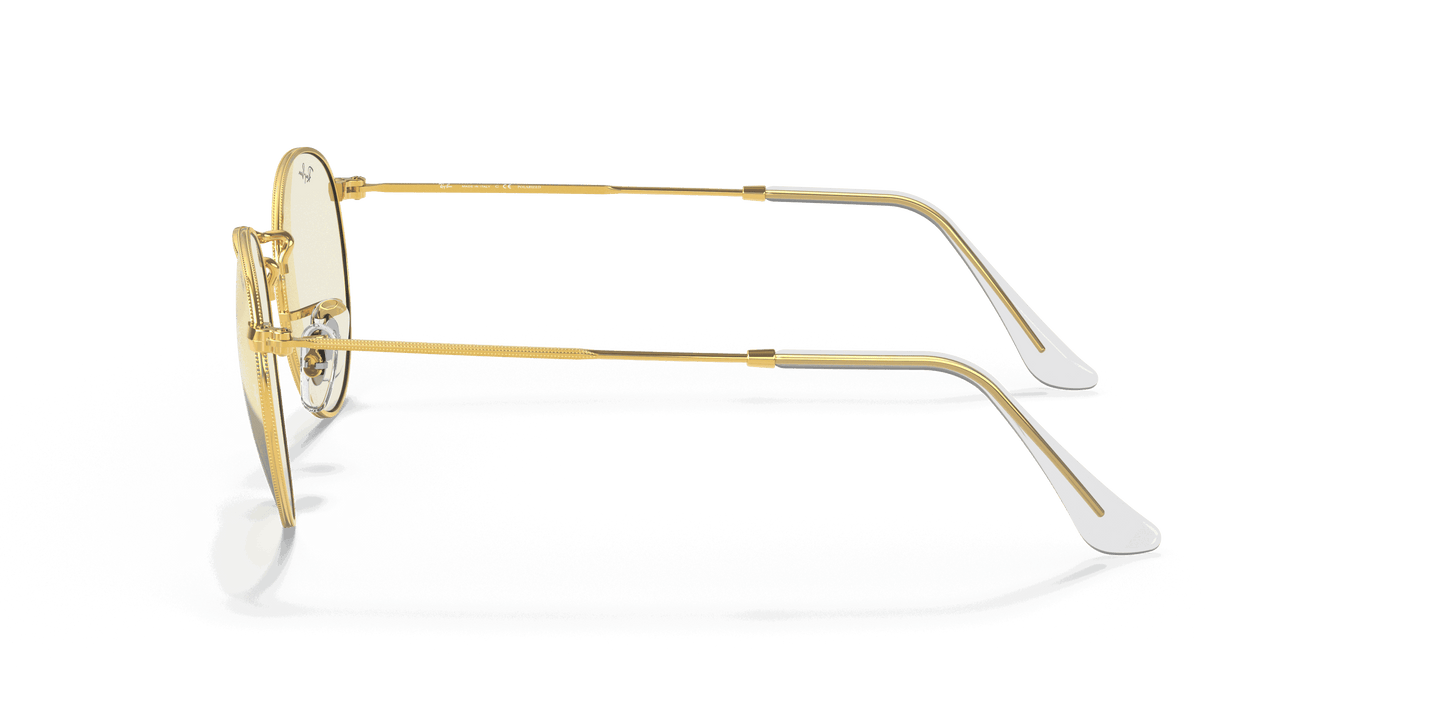 [Clear Lenses, Polished Gold Frame]