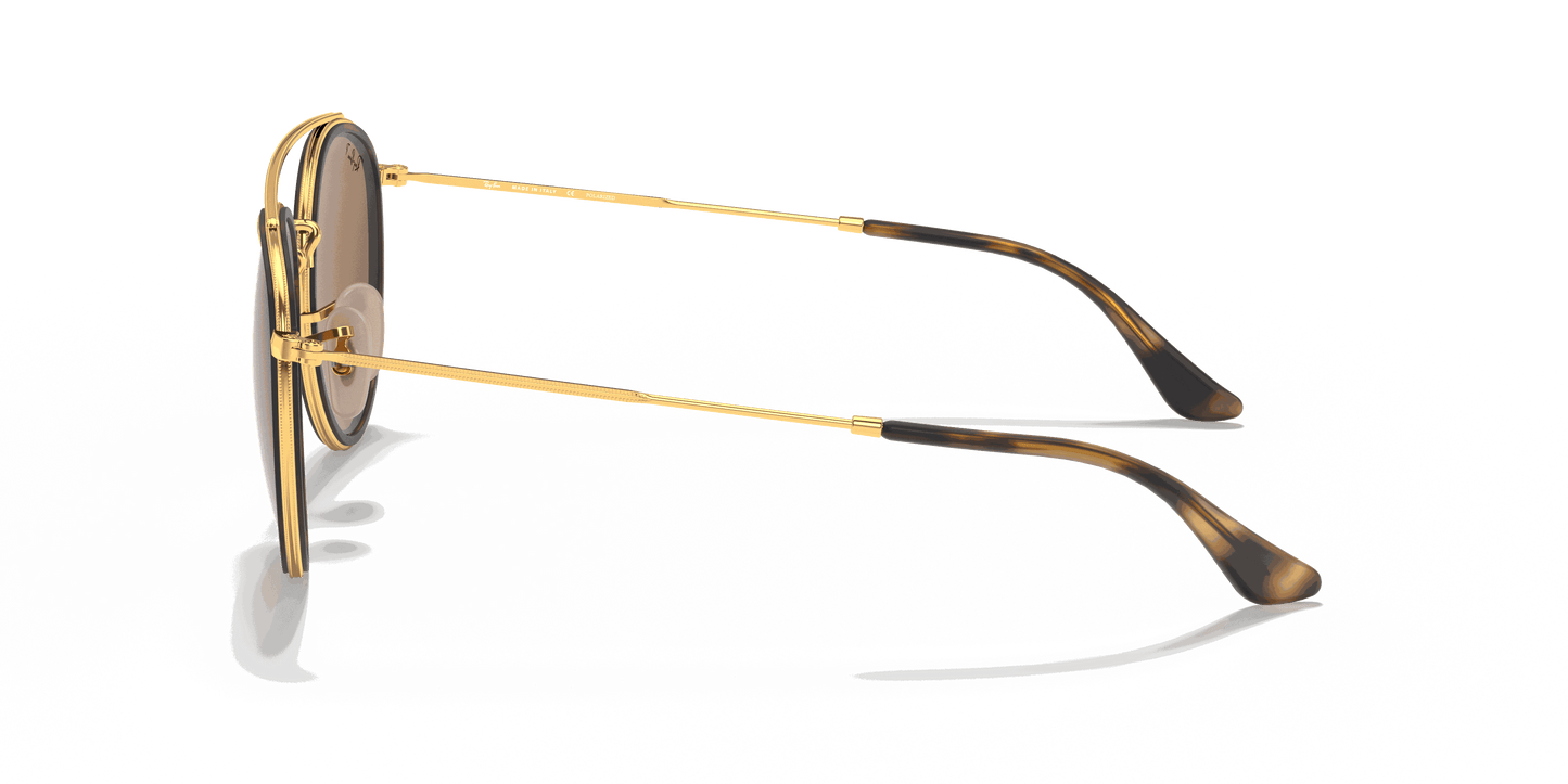 [B-15 Brown Lenses, Polished Arista Gold Frame]