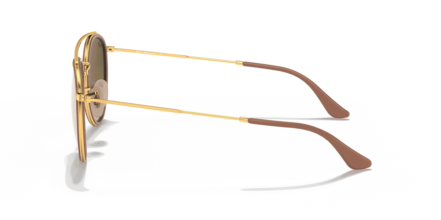 [Brown Lenses, Polished Arista Gold Frame]