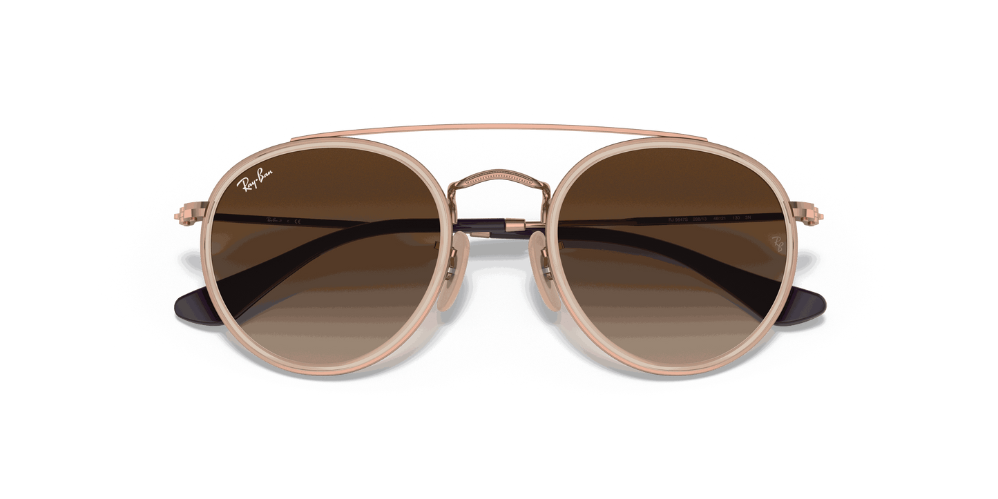 [Gradient Brown Lenses, Polished Light Brown Frame]