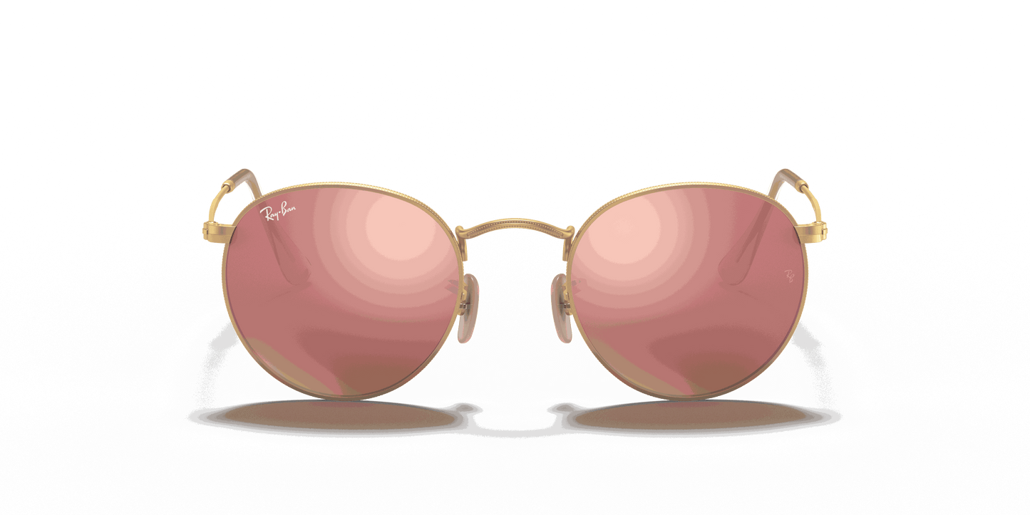 [Brown Lenses, Matte Gold Frame]