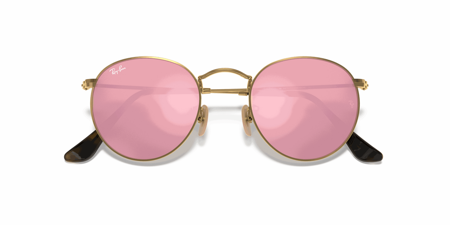 [Brown Lenses, Polished Arista Gold Frame]