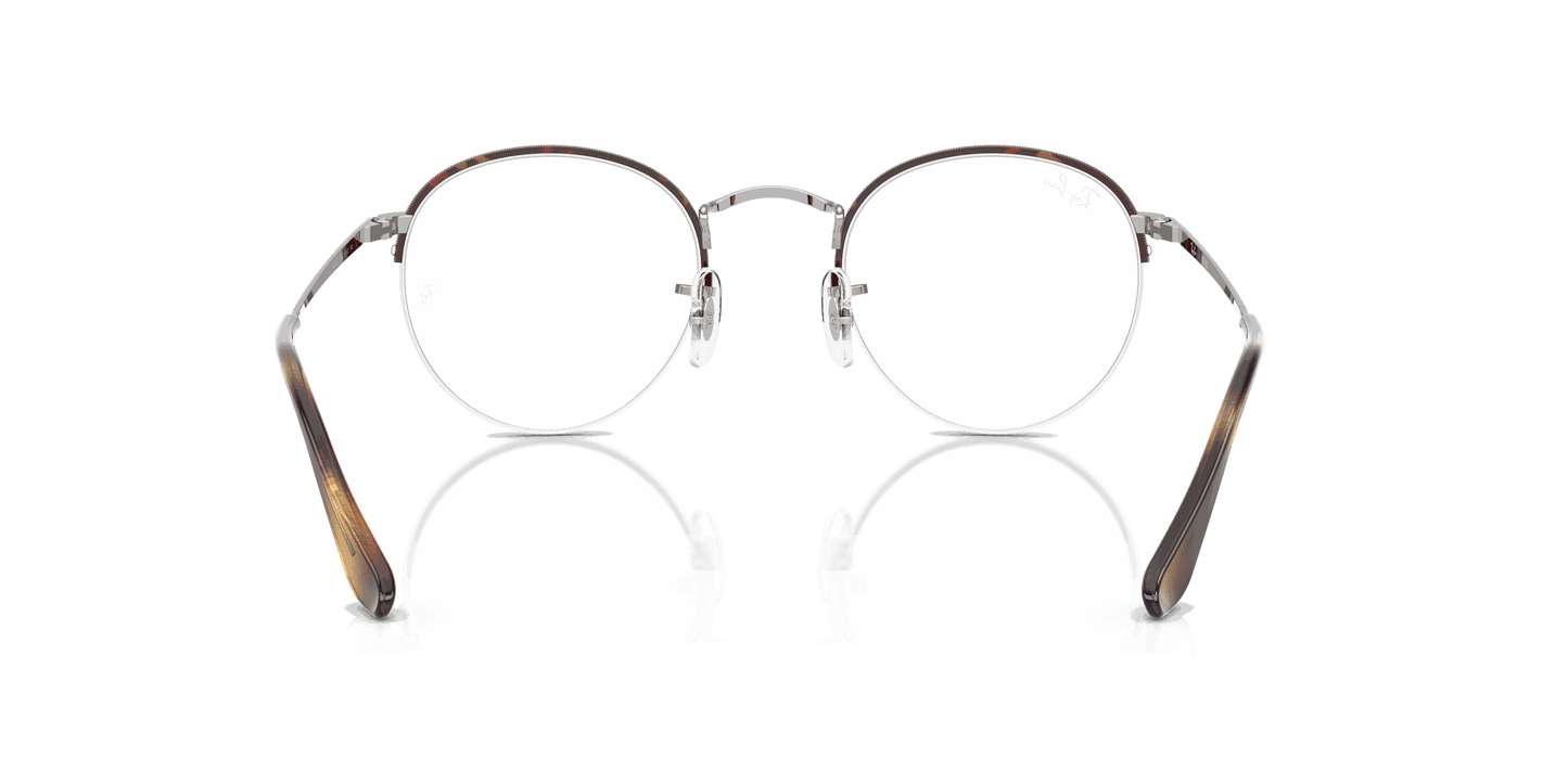 [Clear Lenses, Polished Havana On Silver Frame]