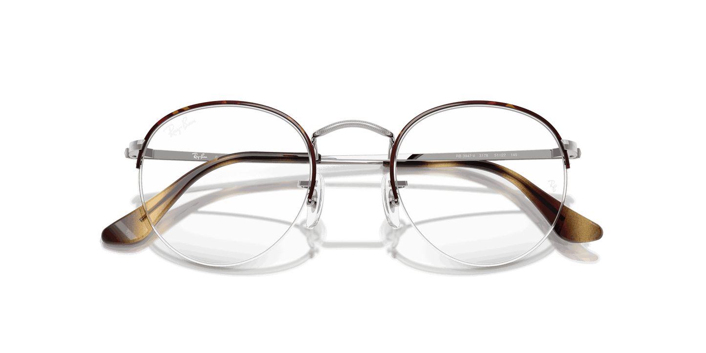 [Clear Lenses, Polished Havana On Silver Frame]