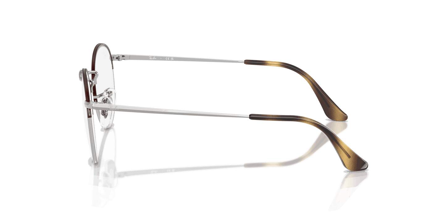 [Clear Lenses, Polished Havana On Silver Frame]