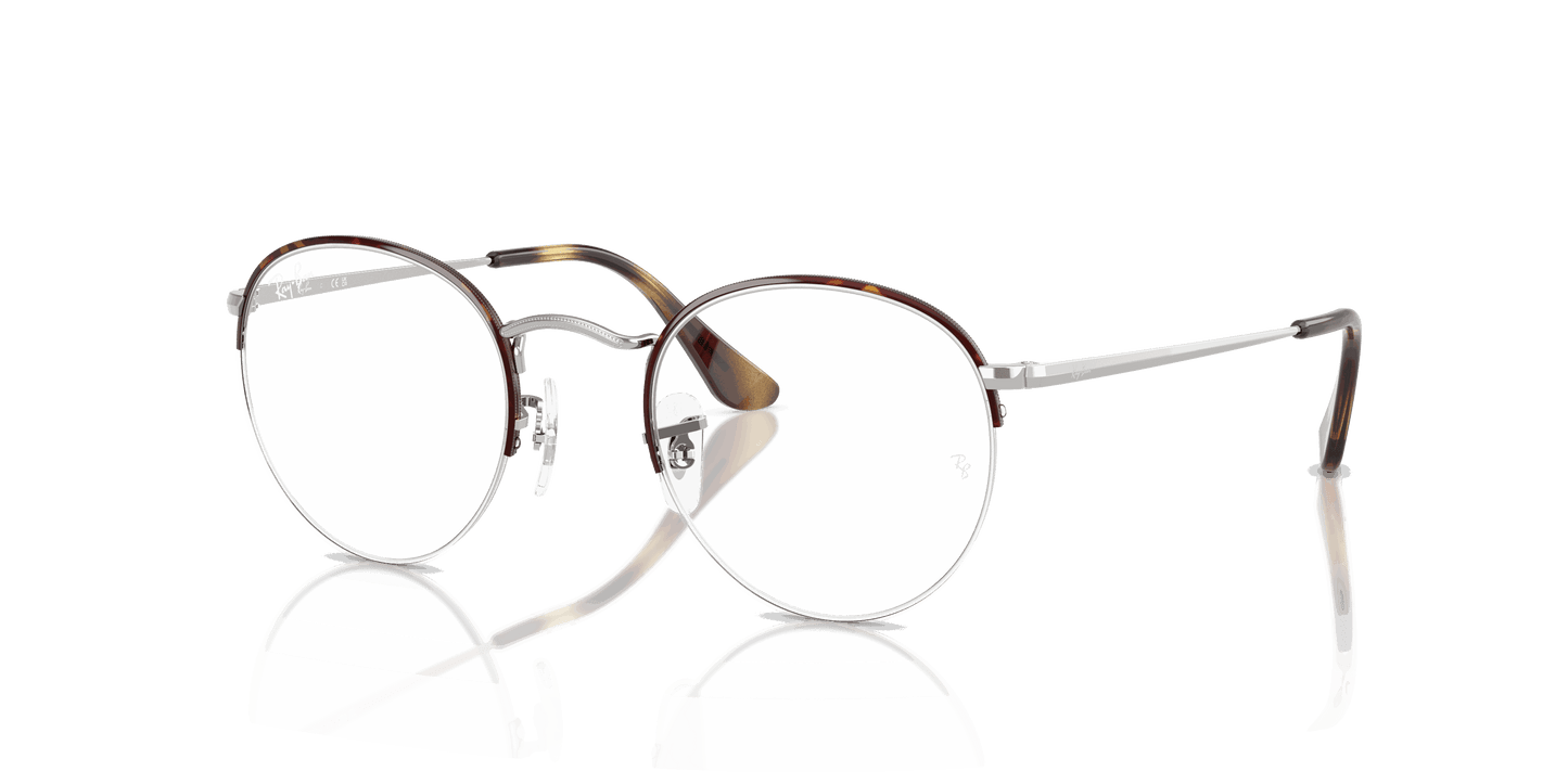 [Clear Lenses, Polished Havana On Silver Frame]