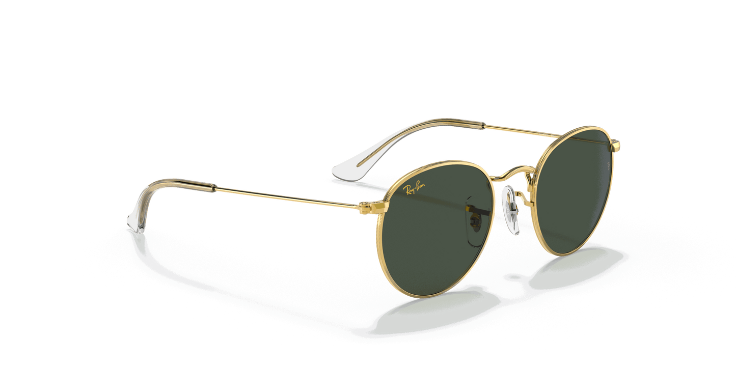 [Dark Green Lenses, Polished Gold Frame]