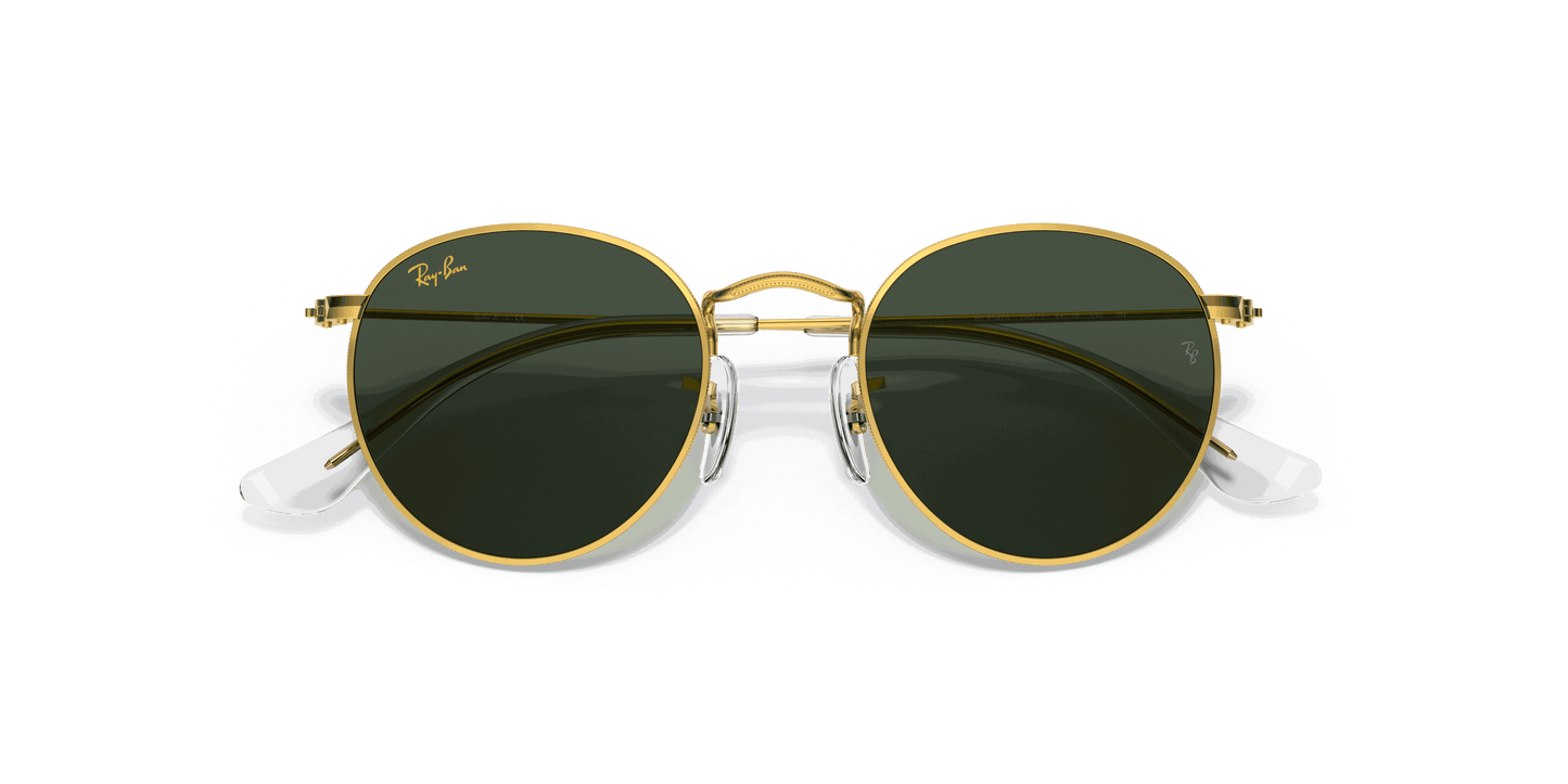 [Dark Green Lenses, Polished Gold Frame]