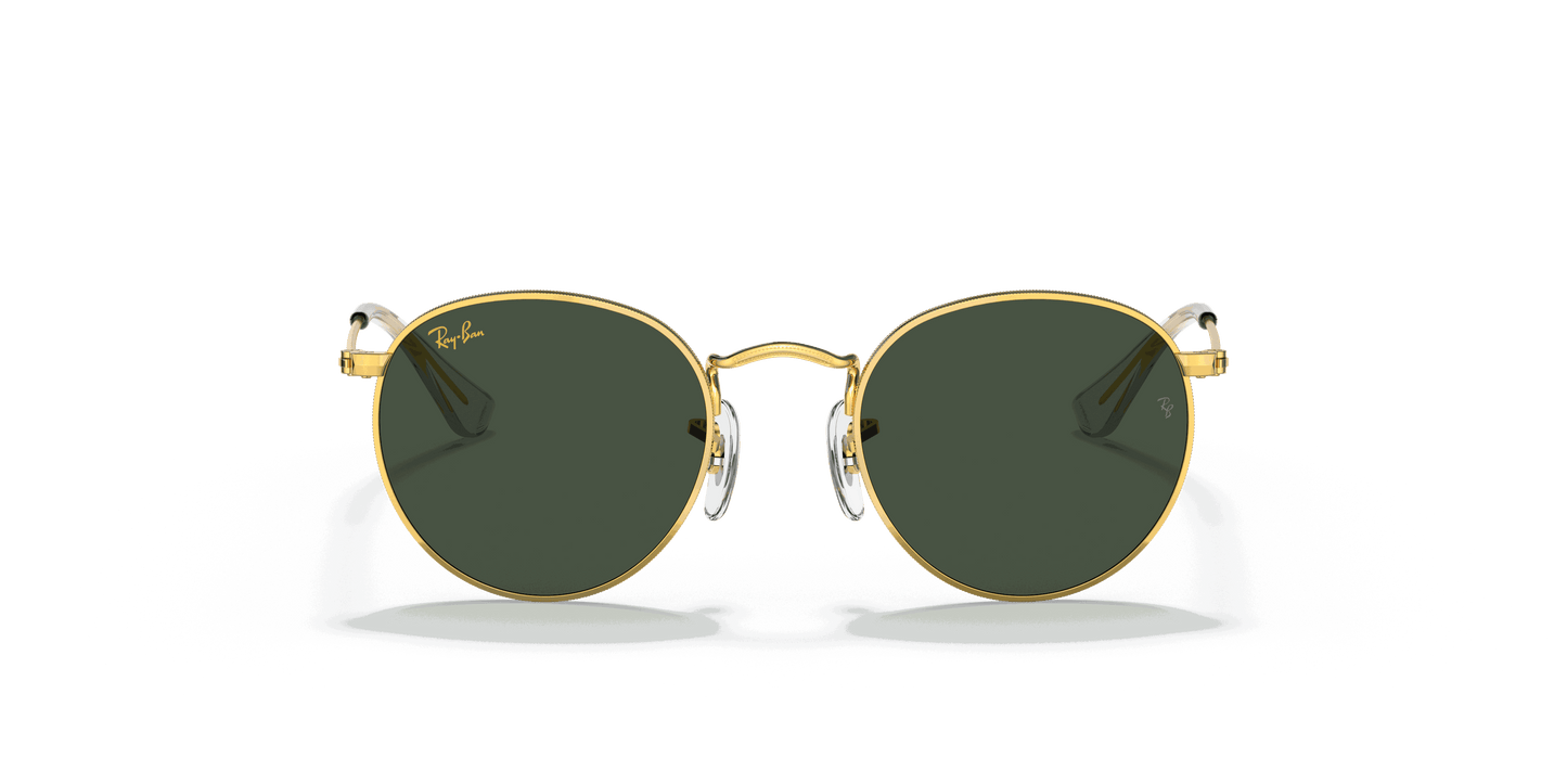 [Dark Green Lenses, Polished Gold Frame]