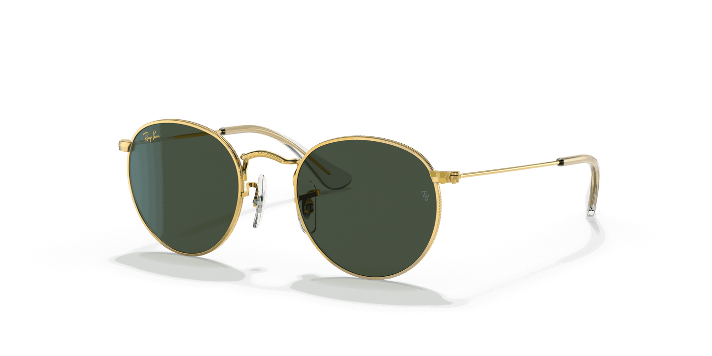[Dark Green Lenses, Polished Gold Frame]