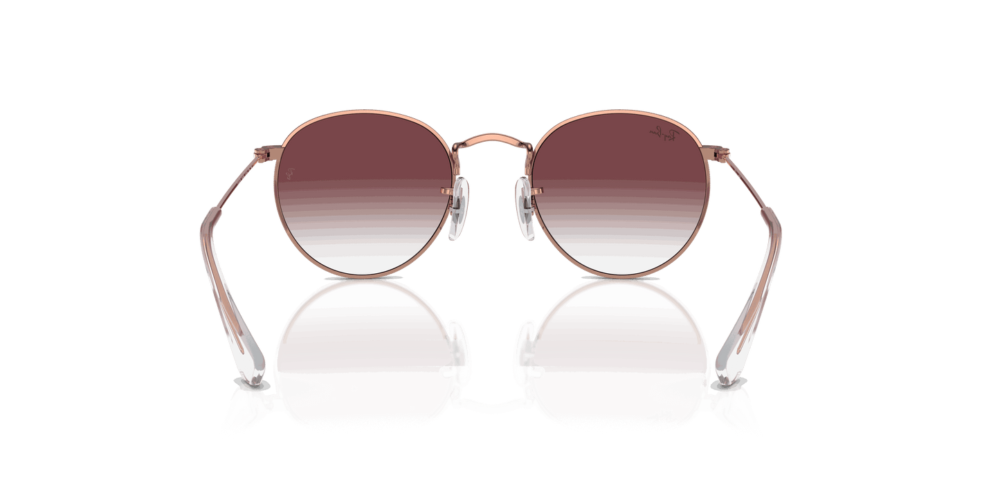 [Violet Lenses, Polished Rose Gold Frame]