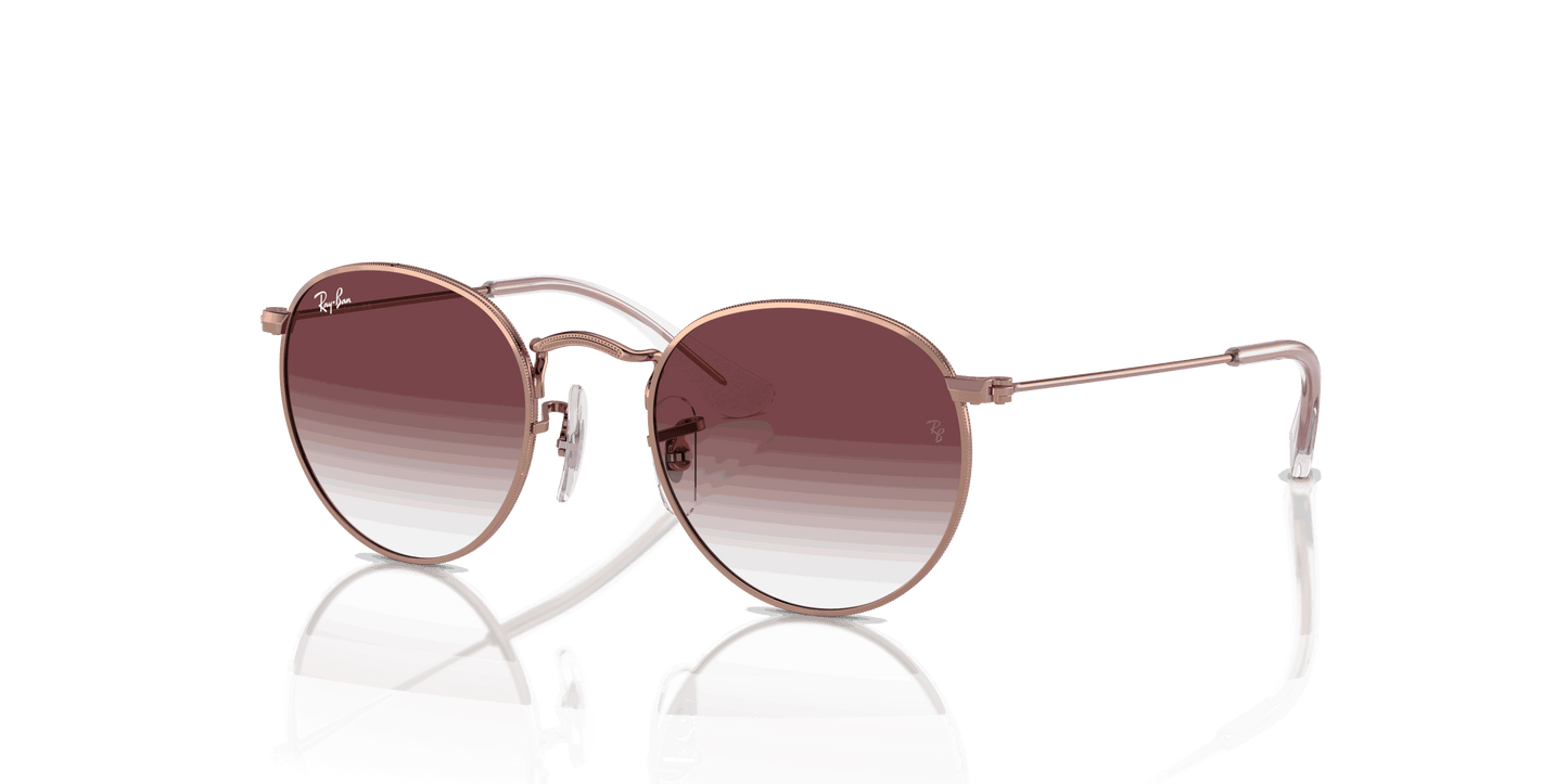 [Violet Lenses, Polished Rose Gold Frame]