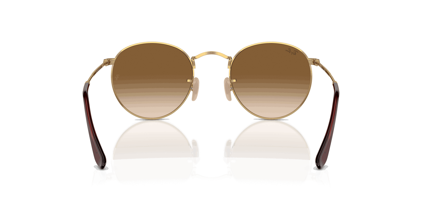 [Brown Lenses, Polished Gold Frame]