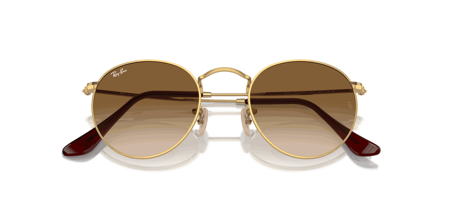 [Brown Lenses, Polished Gold Frame]