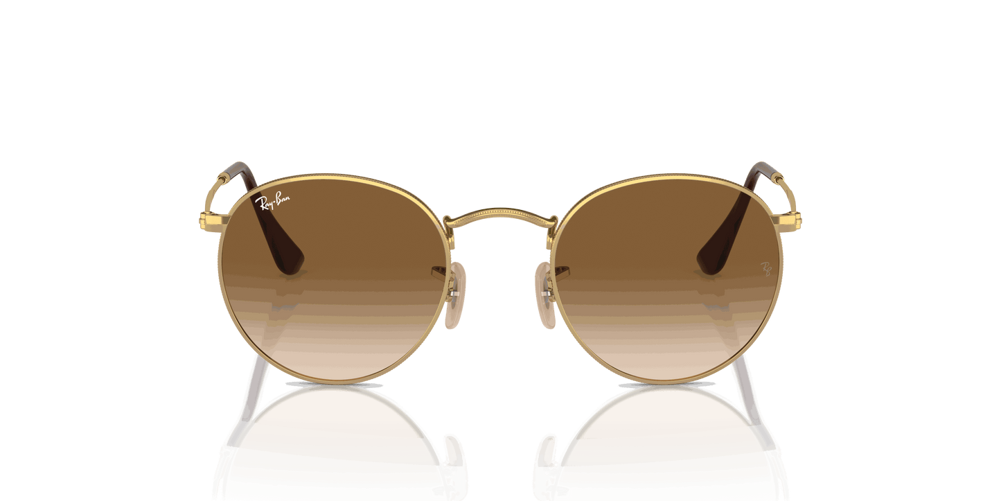 [Brown Lenses, Polished Gold Frame]