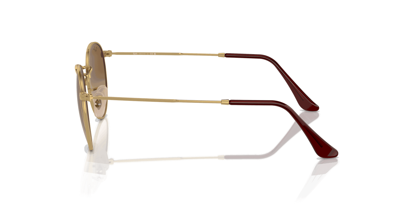 [Brown Lenses, Polished Gold Frame]