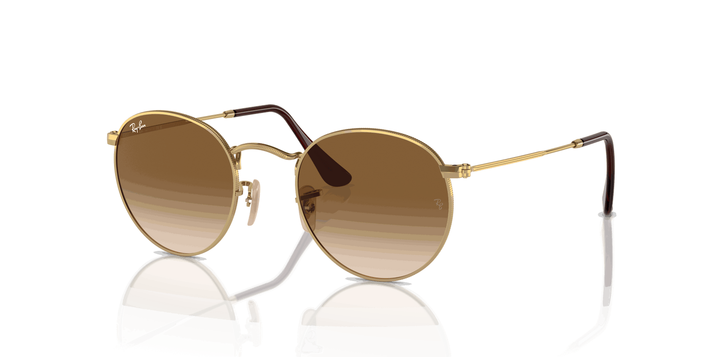 [Brown Lenses, Polished Gold Frame]