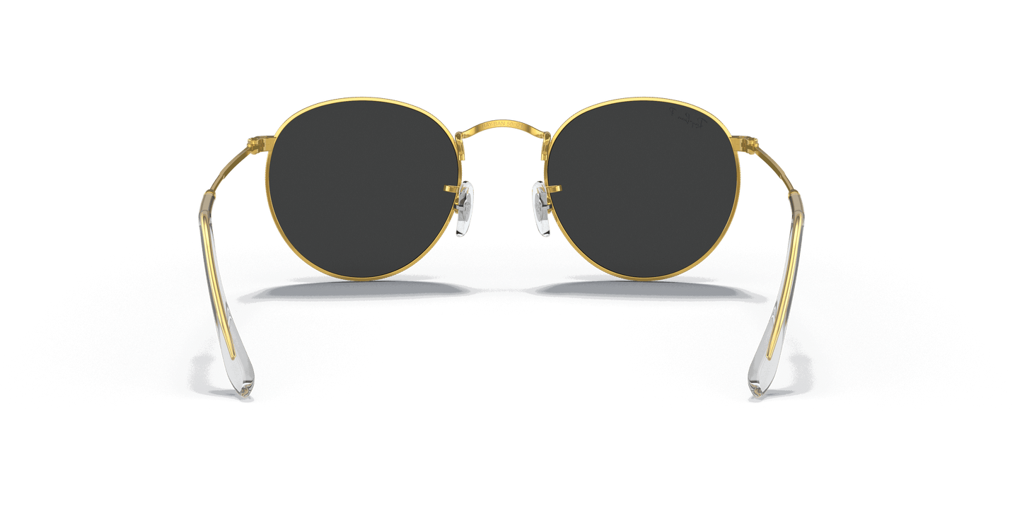 [Black Lenses, Polished Gold Frame]