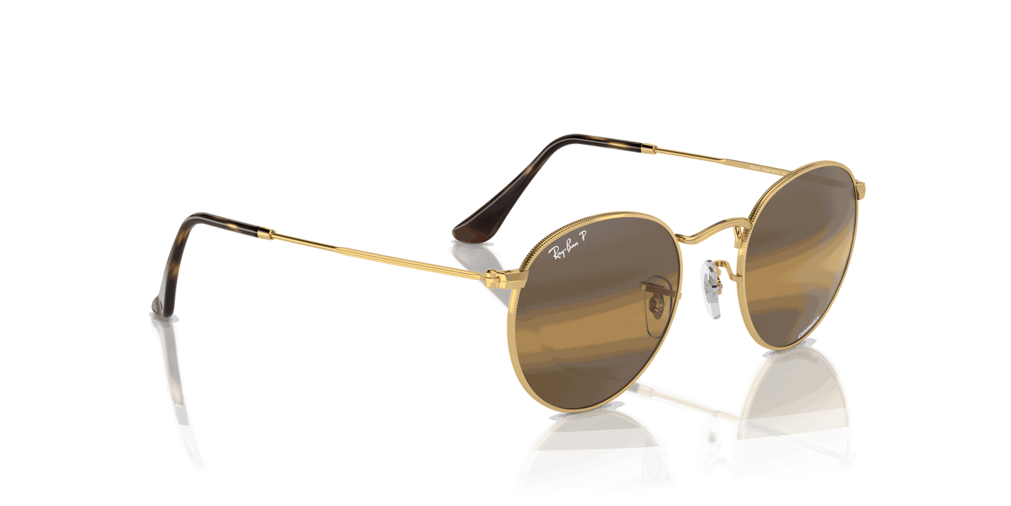 [Silver/Brown Lenses, Polished Arista Gold Frame]