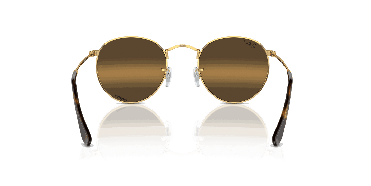 [Silver/Brown Lenses, Polished Arista Gold Frame]