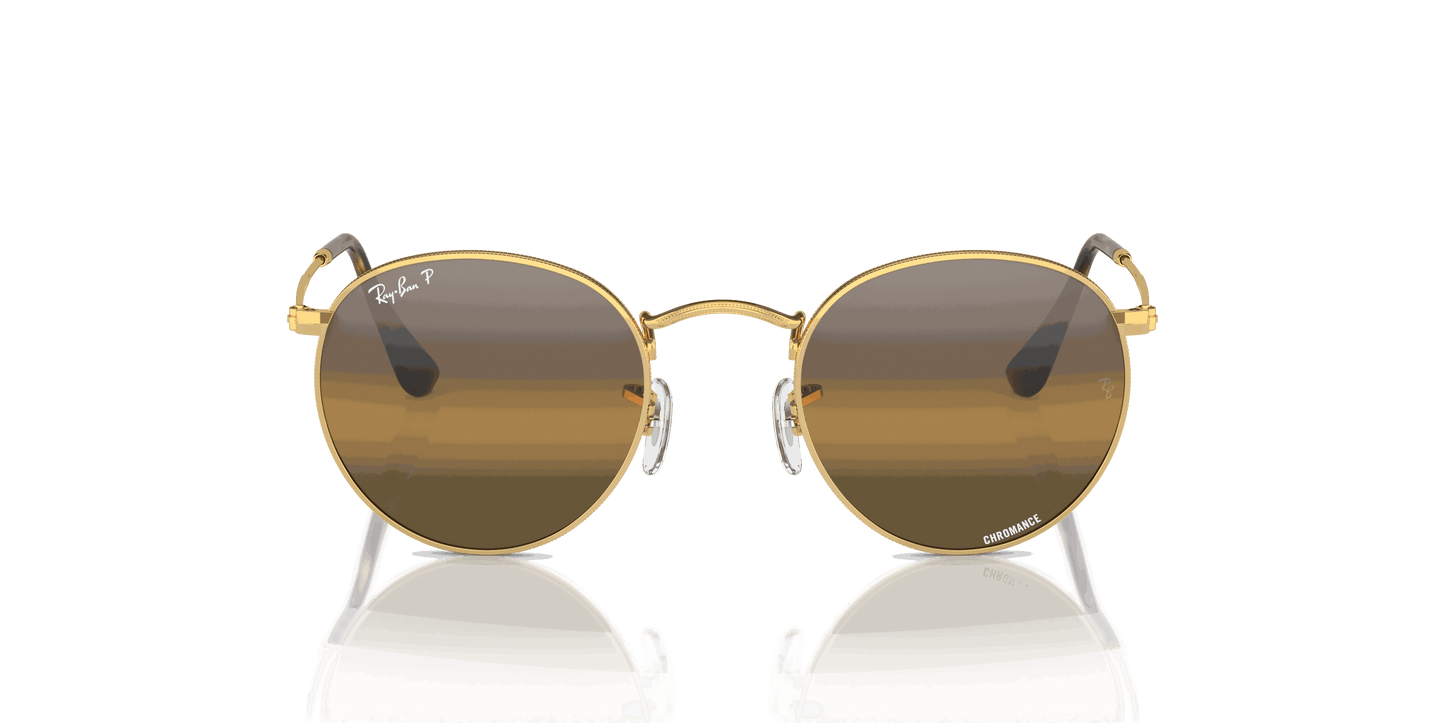 [Silver/Brown Lenses, Polished Arista Gold Frame]