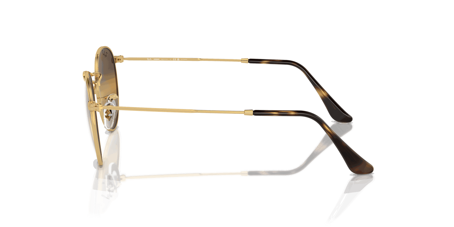 [Silver/Brown Lenses, Polished Arista Gold Frame]