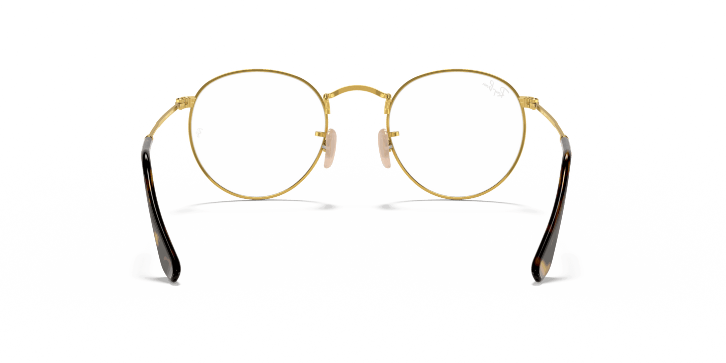 [Clear Lenses, Polished Havana On Gold Frame]
