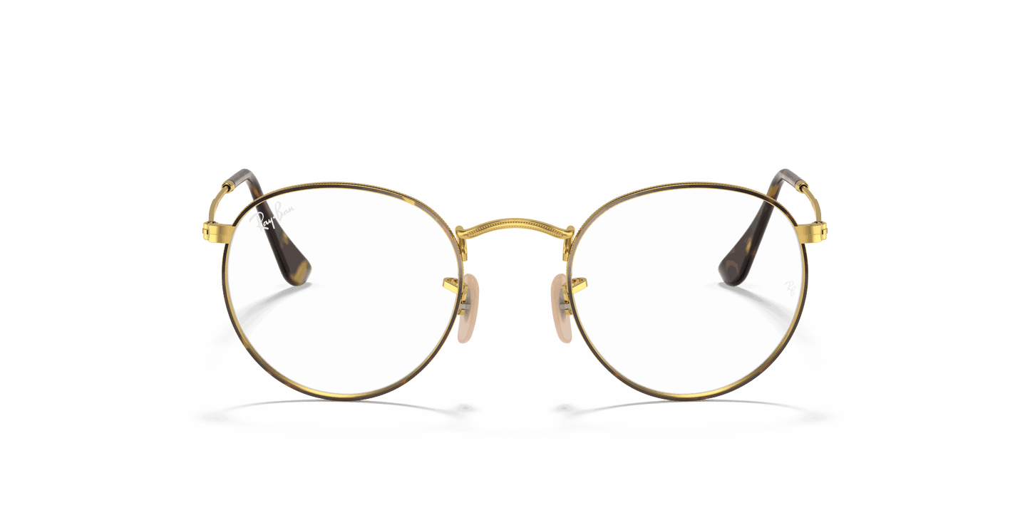 [Clear Lenses, Polished Havana On Gold Frame]