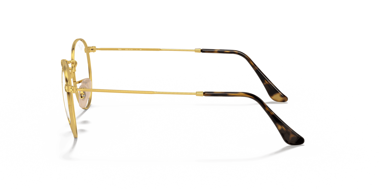 [Clear Lenses, Polished Havana On Gold Frame]