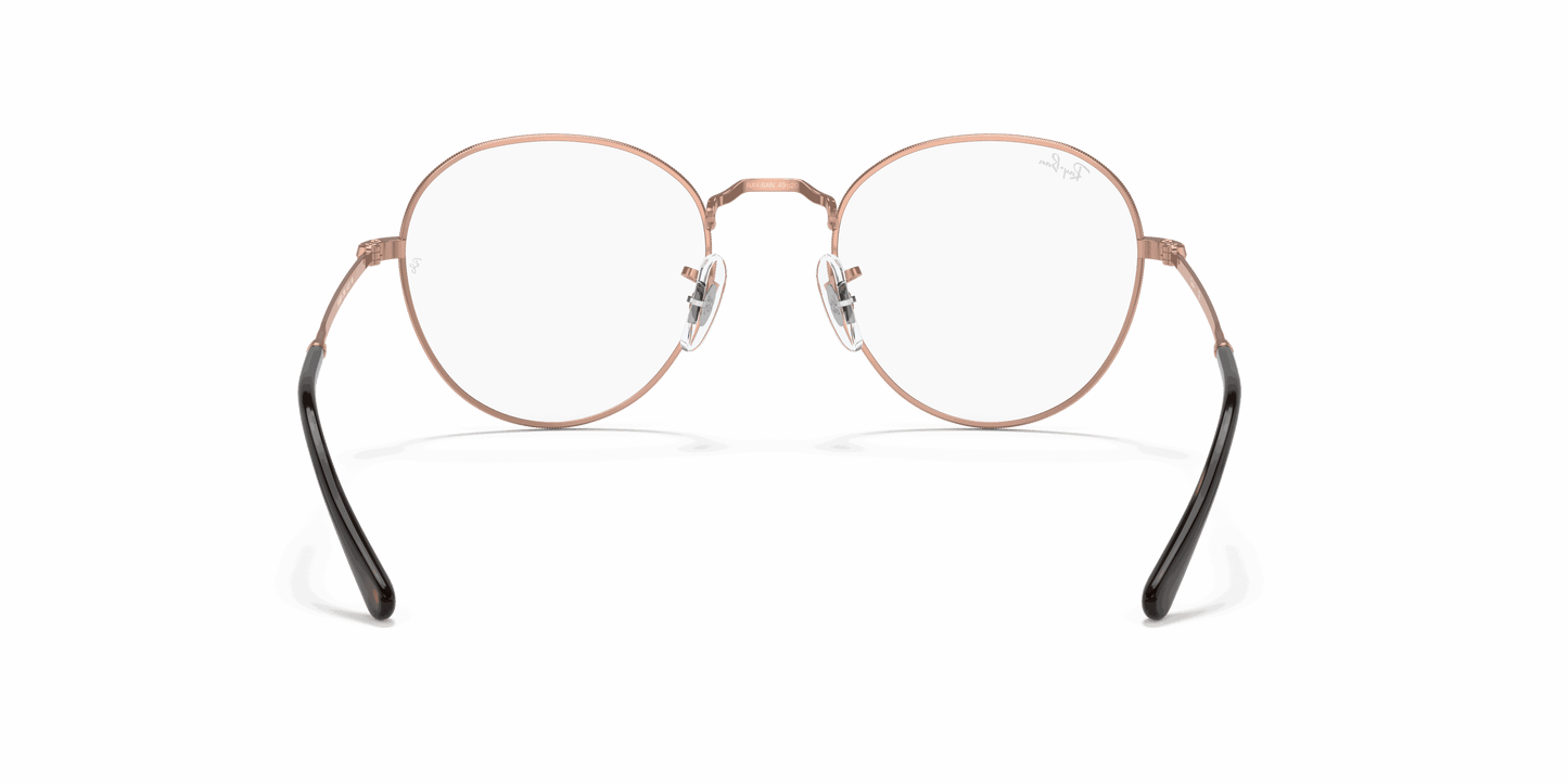 [Clear Lenses, Polished Copper Frame]