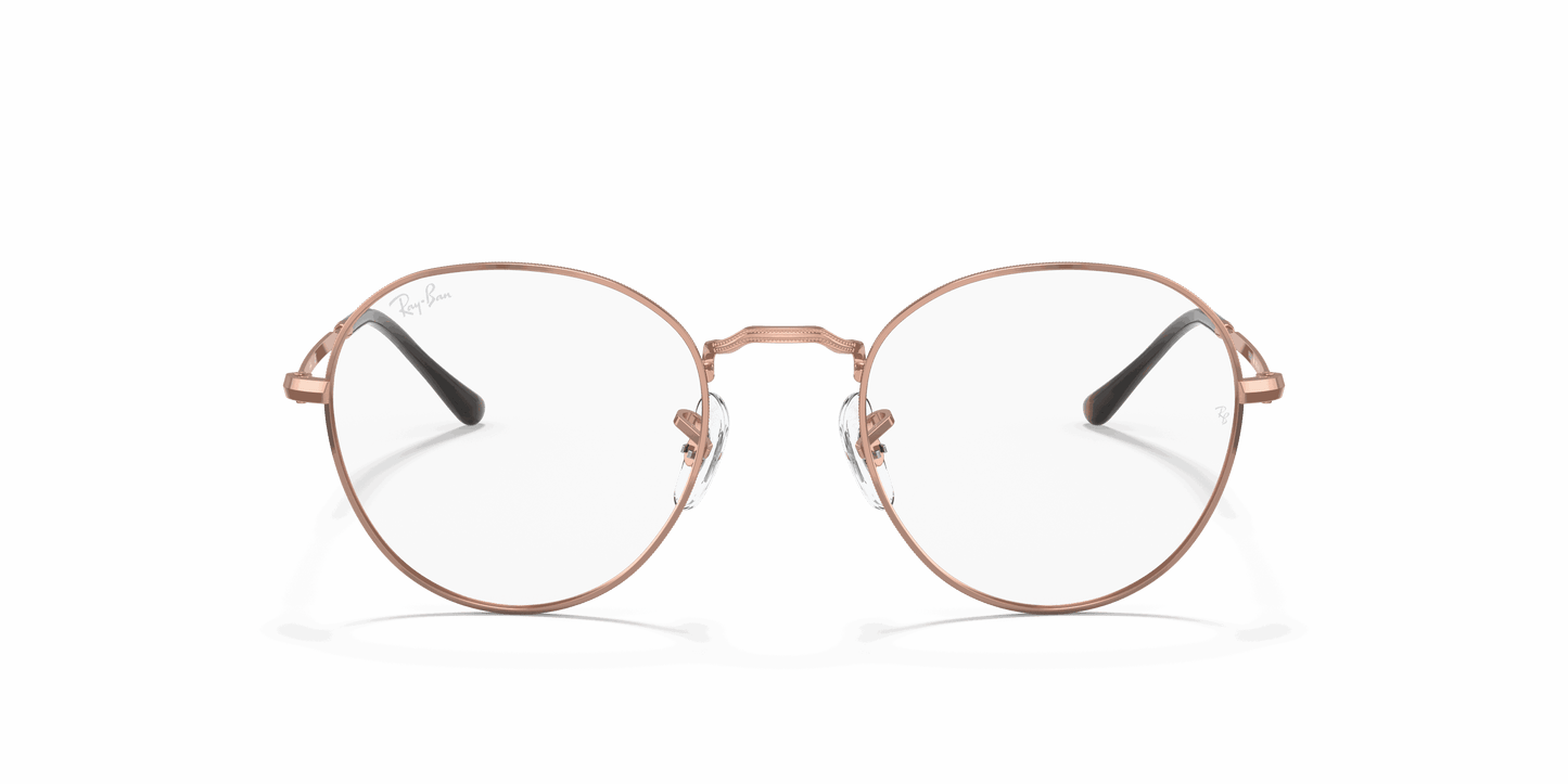 [Clear Lenses, Polished Copper Frame]