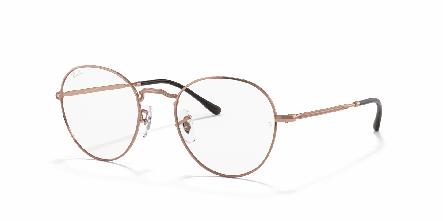 [Clear Lenses, Polished Copper Frame]
