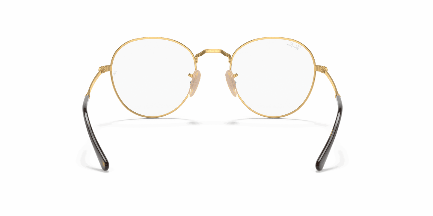 [Clear Lenses, Polished Havana On Gold Frame]