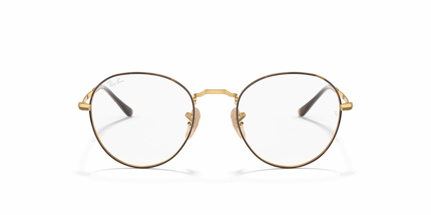 [Clear Lenses, Polished Havana On Gold Frame]