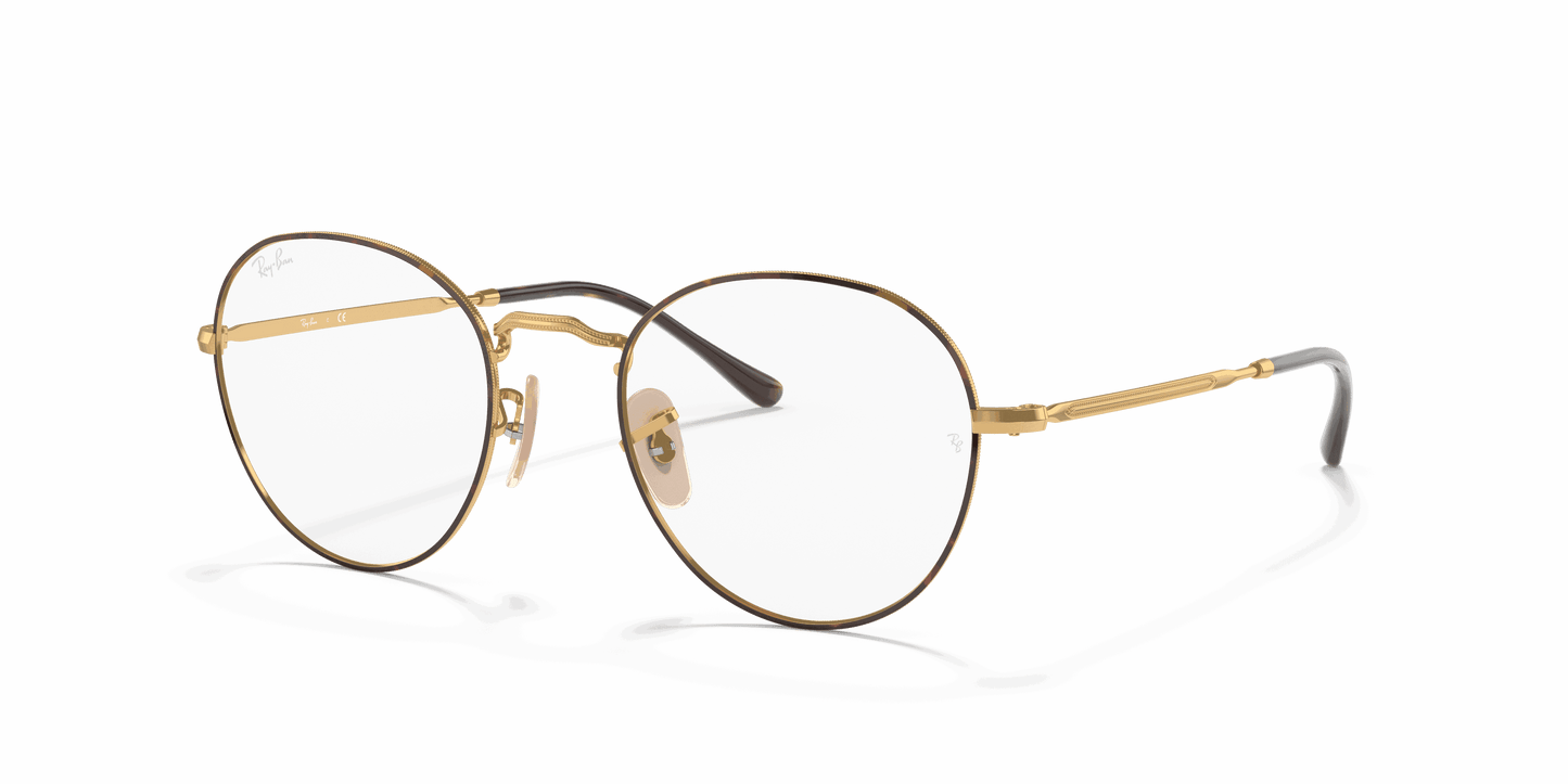[Clear Lenses, Polished Havana On Gold Frame]