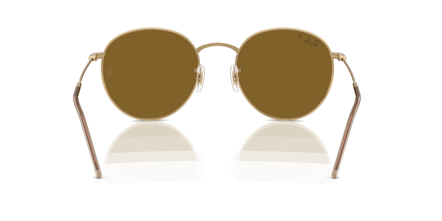 [Polar Brown Lenses, Polished Arista Gold Frame]