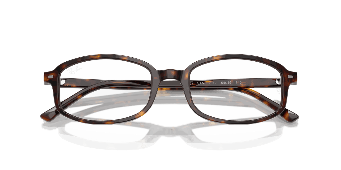 [Clear Lenses, Polished Havana Frame]