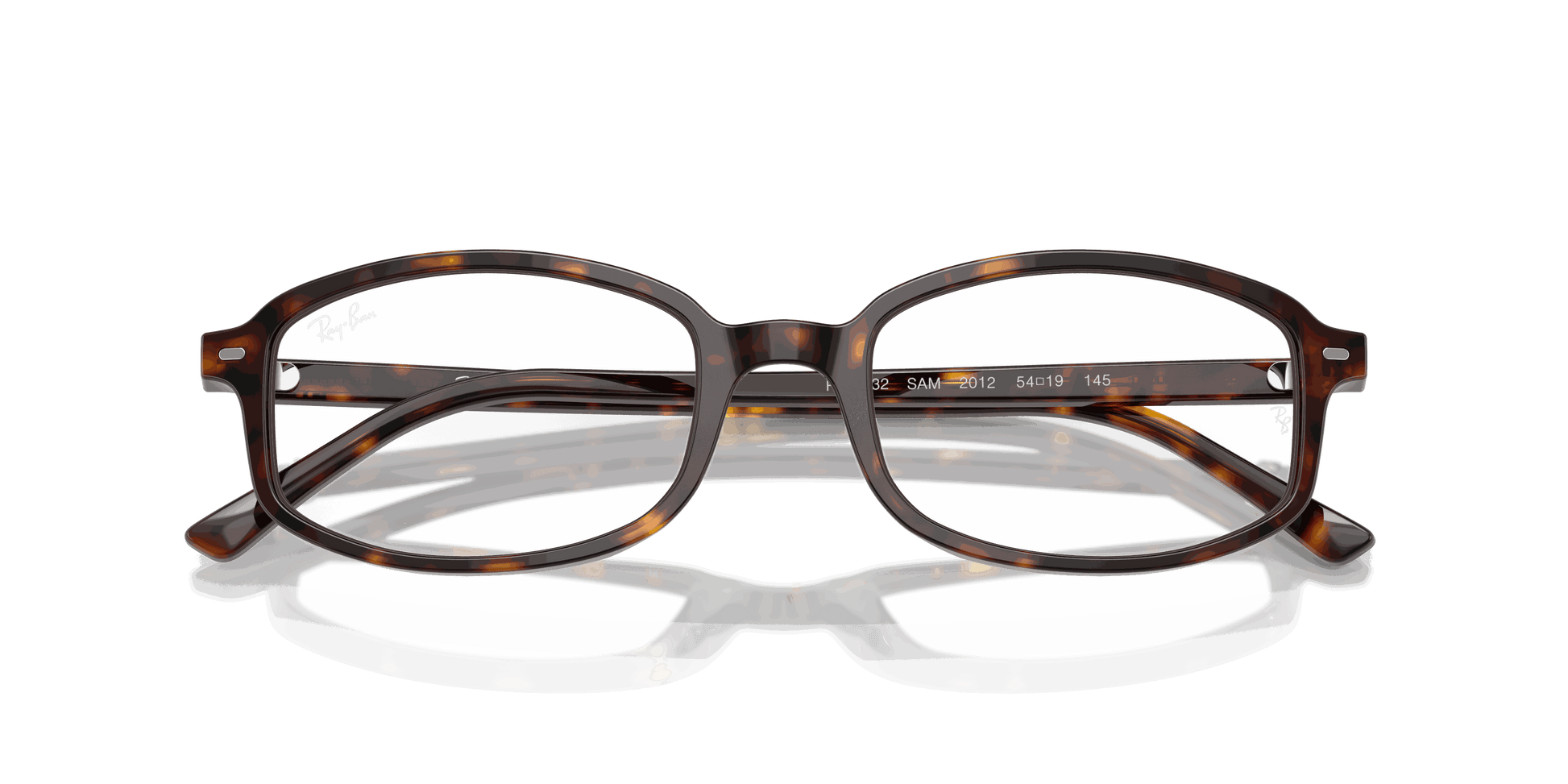[Clear Lenses, Polished Havana Frame]