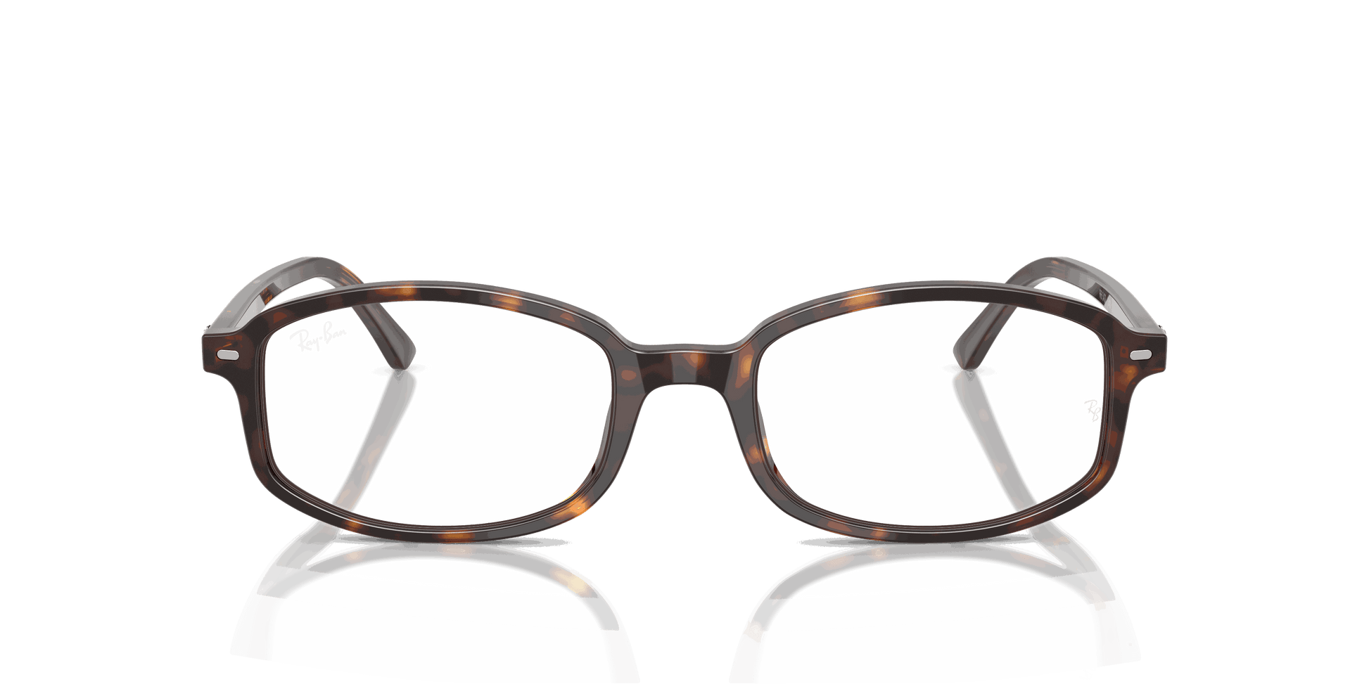 [Clear Lenses, Polished Havana Frame]