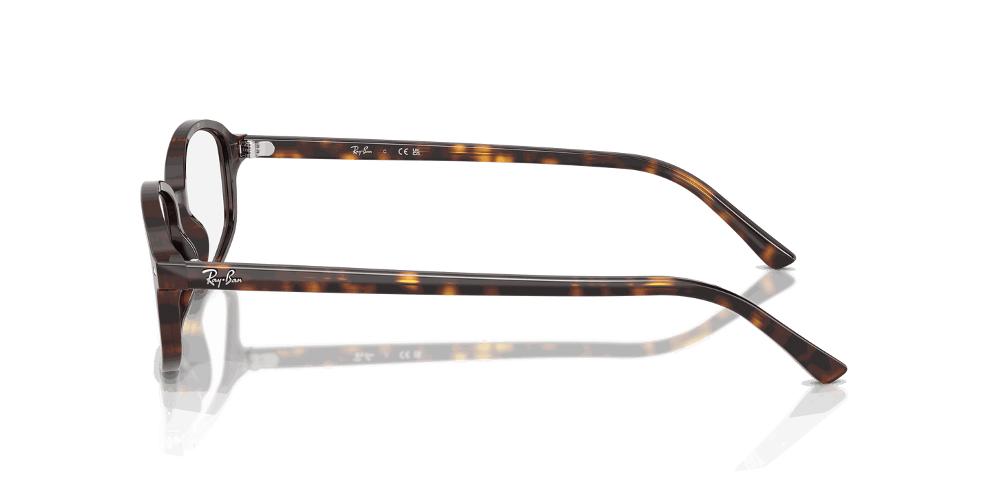 [Clear Lenses, Polished Havana Frame]