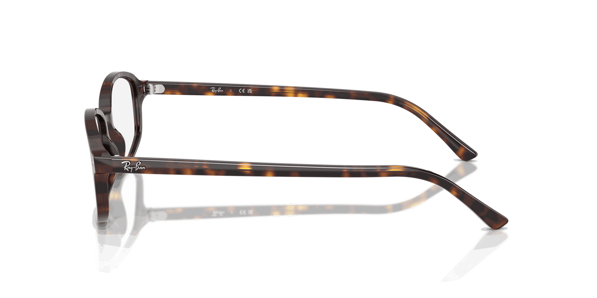 [Clear Lenses, Polished Havana Frame]