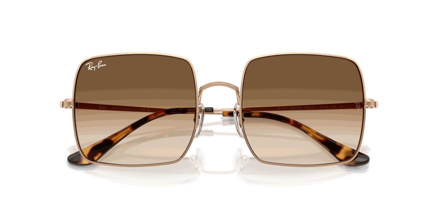 [Clear Gradient Brown Lenses, Polished Rosegold Frame]