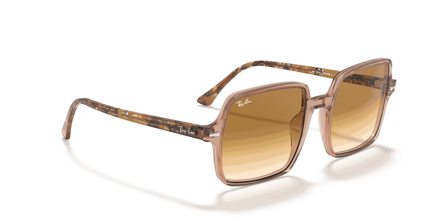 [Light Brown Gradient Lenses, Polished Transparent Brown Frame]